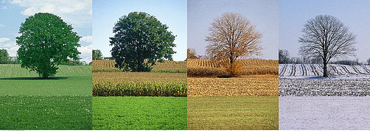 《雨世界》新扩展DLC“守望者”公布 发售日期待定