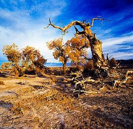 57万字超沉浸式视觉小说《欢迎加入奇趣社》今日正式发售
