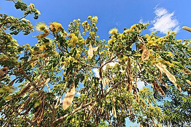 富山敬一郎：《寂静岭》重制版需要慎重考虑